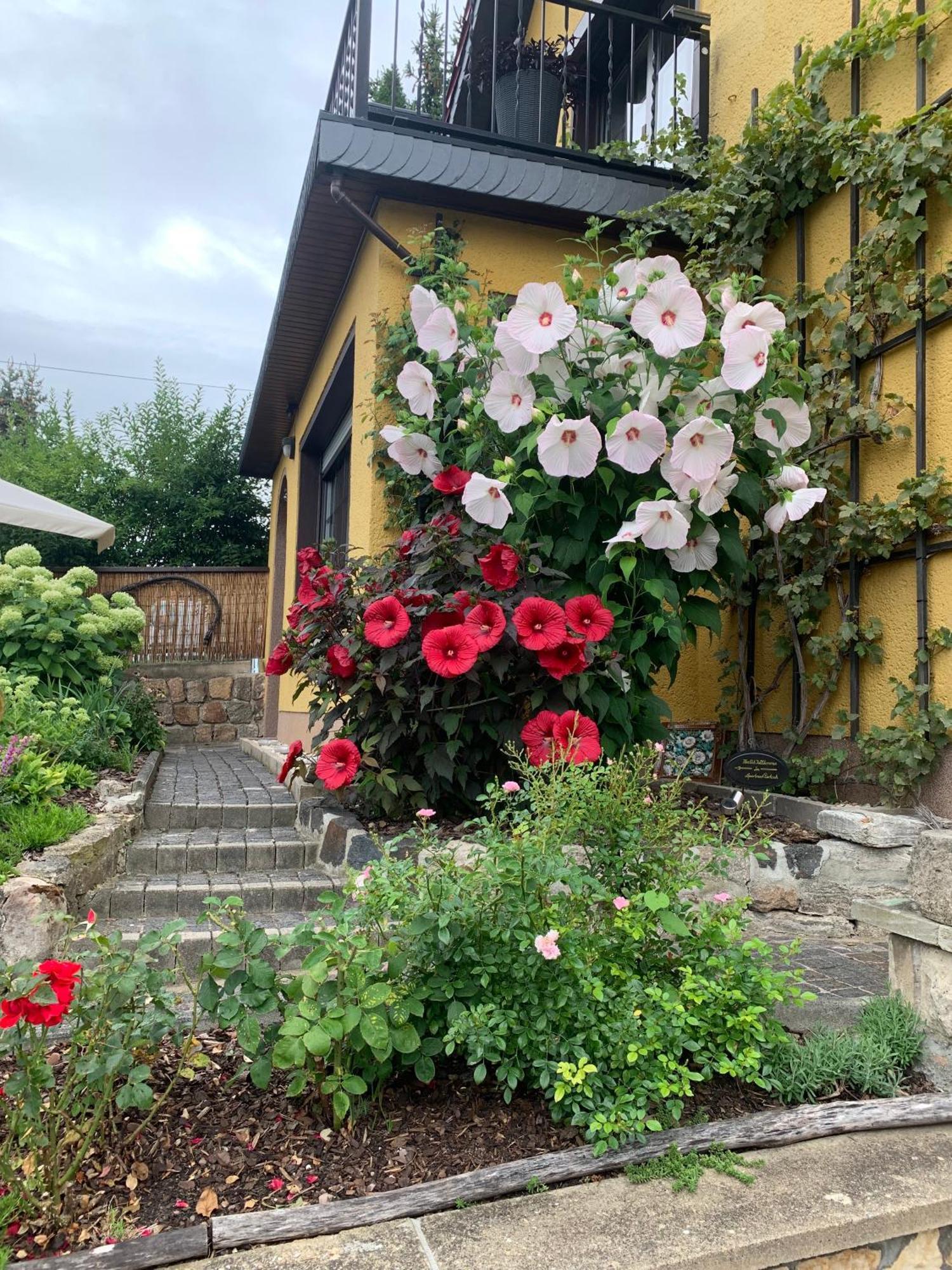 Partzsch Apartment Wethau