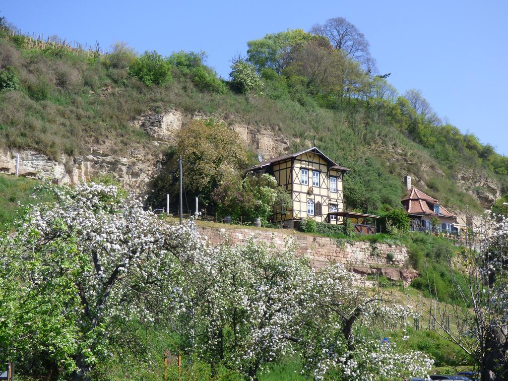 Apartment Partzsch *